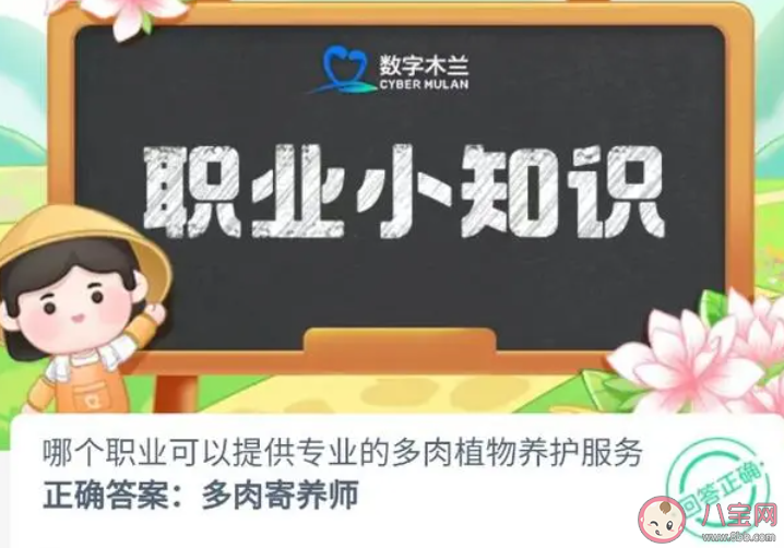 哪个职业可以提供专业的多肉植物养护服务 蚂蚁新村1月4日答案介绍