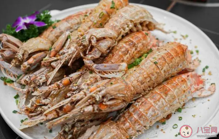 人们常说的皮皮虾是以下哪种海洋动物 神奇海洋1月6日答案 人们常说的皮皮虾是以下哪种海洋动物 神奇海洋1月6日答案