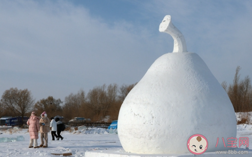 冻梨是什么时候吃的 冻梨吃了有什么好处 冻梨是什么时候吃的 冻梨吃了有什么好处