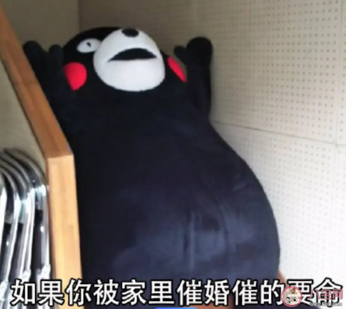 奶奶催婚孙女小伙都来哈尔滨了 被家人催婚该怎么办