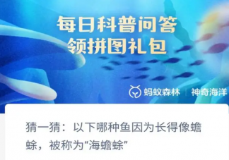 以下哪种鱼因为长得像蟾蜍被称为海蟾蜍 神奇海洋1月8日答案