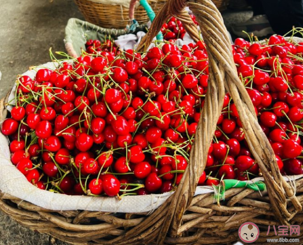 车厘子就是大号的樱桃吗 车厘子和樱桃有什么区别 车厘子就是大号的樱桃吗 车厘子和樱桃有什么区别