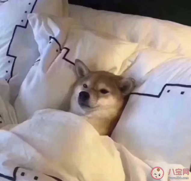 我的人生好像进入了停滞期 人生太无聊了怎么办 我的人生好像进入了停滞期 人生太无聊了怎么办