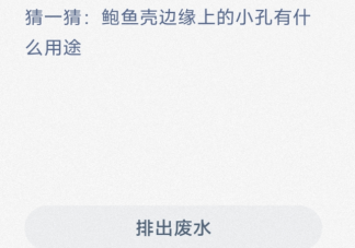 猜一猜鲍鱼壳边缘上的小孔有什么用途 神奇海洋1月10日答案