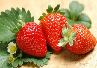 我们为何吃不起水果了 这几年水果为何越来越贵了