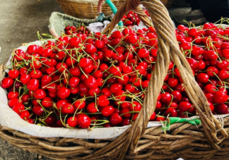 车厘子就是大号的樱桃吗 车厘子和樱桃有什么区别