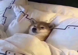 我的人生好像进入了停滞期 人生太无聊了怎么办