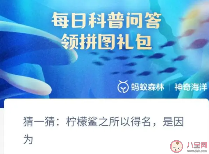 猜一猜柠檬鲨之所以得名是因为什么 神奇海洋1月11日答案 猜一猜柠檬鲨之所以得名是因为什么 神奇海洋1月11日答案