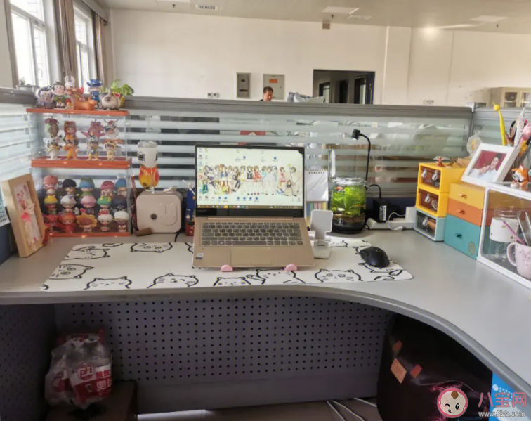 为什么年轻人越来越喜欢布置工位 到底要不要布置自己的工位