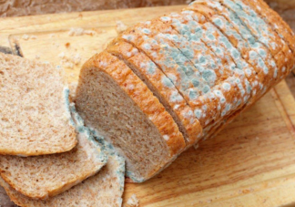 不要忽视霉菌对身体的危害  霉菌会对身体有哪些伤害