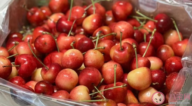 车厘子降价仍不被买账是为什么 车厘子不受欢迎了吗 车厘子降价仍不被买账是为什么 车厘子不受欢迎了吗