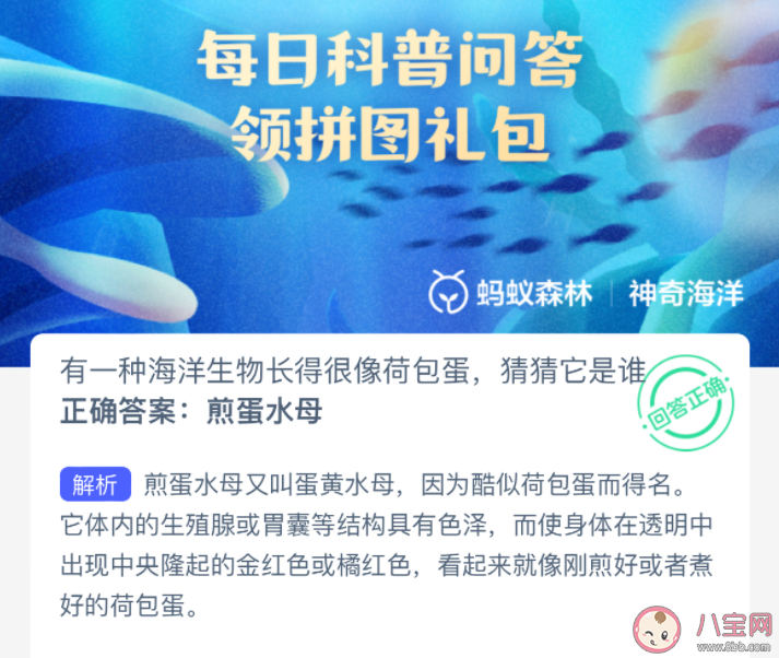 有一种海洋生物长得很像荷包蛋猜猜它是谁 神奇海洋1月19日答案
