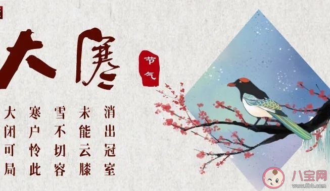 俗话说大寒大寒防风御寒以下哪种做法更适合大寒养生 蚂蚁庄园1月20日答案