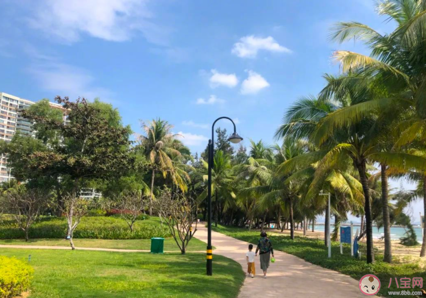 中产涌入三亚扎堆买房子是怎么回事 为什么中年人更愿意在三亚买房了