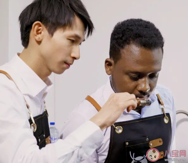 有一种职业叫寻豆师猜猜是寻找什么豆 蚂蚁新村1月23日答案