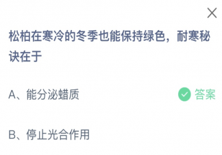 松柏在寒冷的冬季也能保持绿色耐寒秘诀在于 蚂蚁庄园1月24日答案