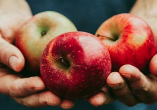 为什么各科专家都劝你吃点苹果 煮苹果水喝了有什么好处