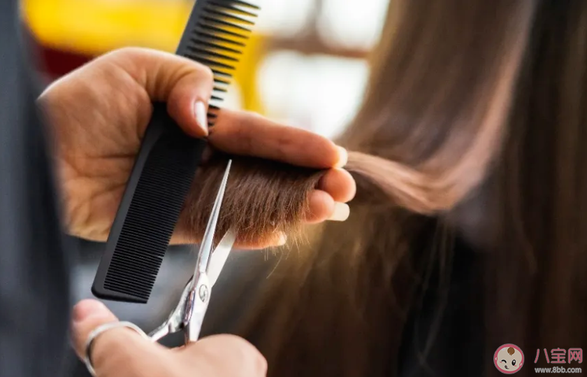 洗剪吹为什么越来越贵 花100多理一次发合理吗 洗剪吹为什么越来越贵 花100多理一次发合理吗