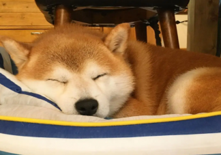 哪几类人不宜午睡 午睡之后还是很困怎么办