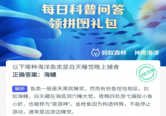 以下哪种海洋鱼类是白天睡觉晚上捕食 神奇海洋1月29日答案