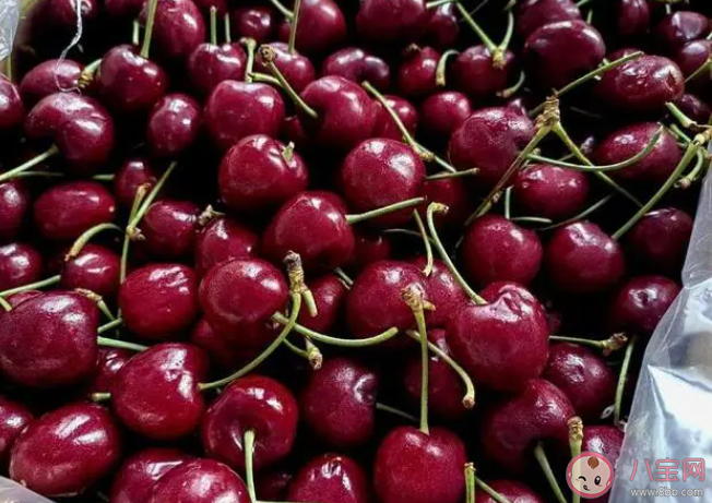 车厘子打败砂糖橘成年货顶流了吗 为什么大家都在买车厘子 车厘子打败砂糖橘成年货顶流了吗 为什么大家都在买车厘子