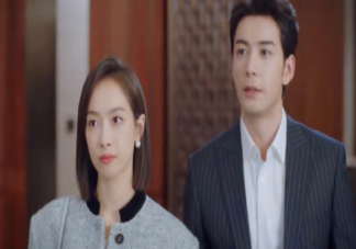 《我们的翻译官》林西推迟婚礼是为什么 消博会是谁中标