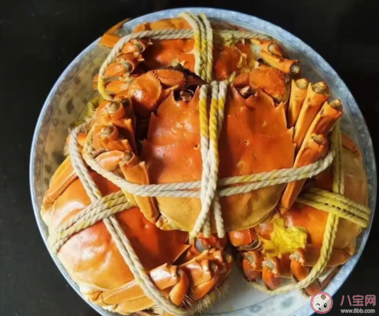 比利时设陷阱诱捕300万只大闸蟹 外国人为什么不爱吃大闸蟹 比利时设陷阱诱捕300万只大闸蟹 外国人为什么不爱吃大闸蟹