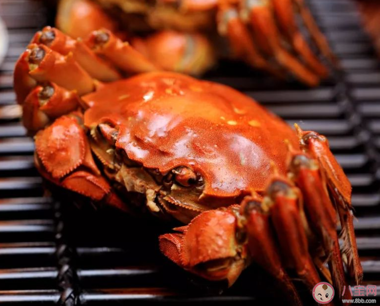 比利时设陷阱诱捕300万只大闸蟹 外国人为什么不爱吃大闸蟹 比利时设陷阱诱捕300万只大闸蟹 外国人为什么不爱吃大闸蟹