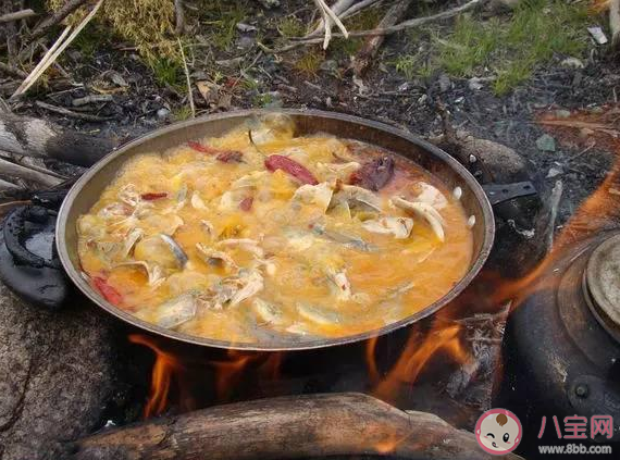 在高原上食物很难煮熟这与以下哪种因素密切相关 蚂蚁庄园2月5日答案