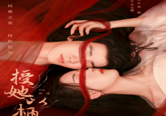 《授她以柄》原著小说是什么 《授她以柄》剧情讲的什么