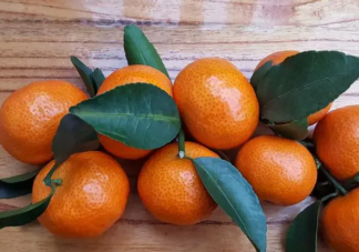 砂糖橘上的洞是从哪来的 怎样挑选砂糖橘