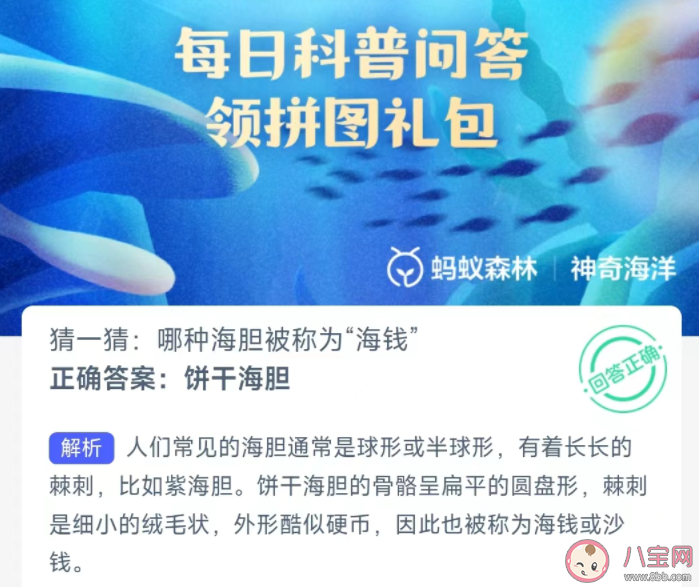哪种海胆被称为海钱 蚂蚁庄园2月29日答案