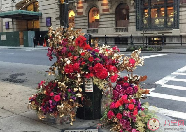 你知道花艺装置设计师的主要工作是什么吗 蚂蚁新村3月1日答案