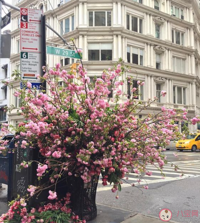 你知道花艺装置设计师的主要工作是什么吗 蚂蚁新村3月1日答案