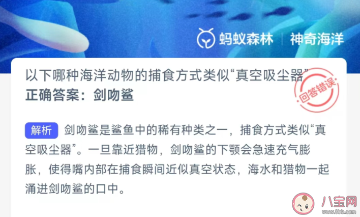 以下哪种海洋动物的捕食方式类似真空吸尘器 神奇海洋3月1日答案