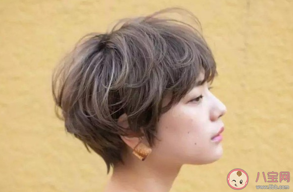 俗话说头梳千遍病少一半以下哪种发质的人群更适合多梳头 蚂蚁庄园3月2日答案