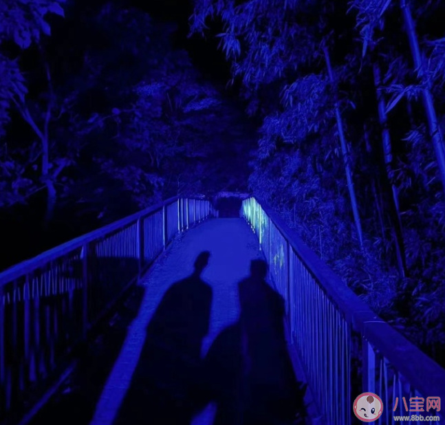 鹿晗《影子》歌词是什么 《影子》歌词歌曲介绍 鹿晗《影子》歌词是什么 《影子》歌词歌曲介绍