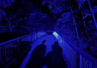 鹿晗《影子》歌词是什么 《影子》歌词歌曲介绍