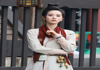 《掌心》原著小说是什么 《掌心》剧情讲的是什么