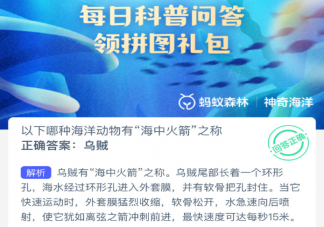 以下哪种海洋动物有海中火箭之称 神奇海洋3月5日答案