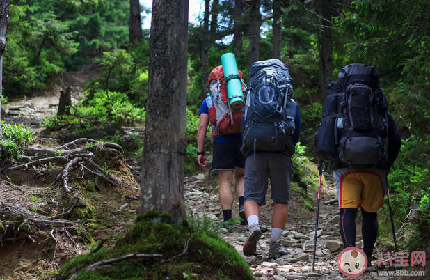 越来越多年轻人开始山野穿行是怎么回事 山野穿行要注意些什么