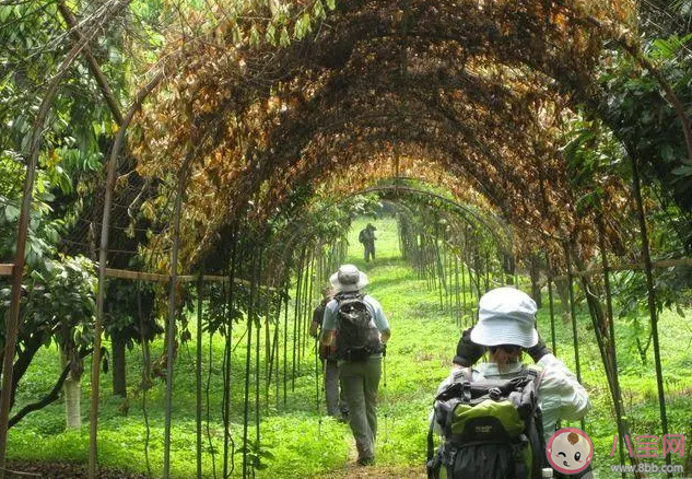 越来越多年轻人开始山野穿行是怎么回事 山野穿行要注意些什么