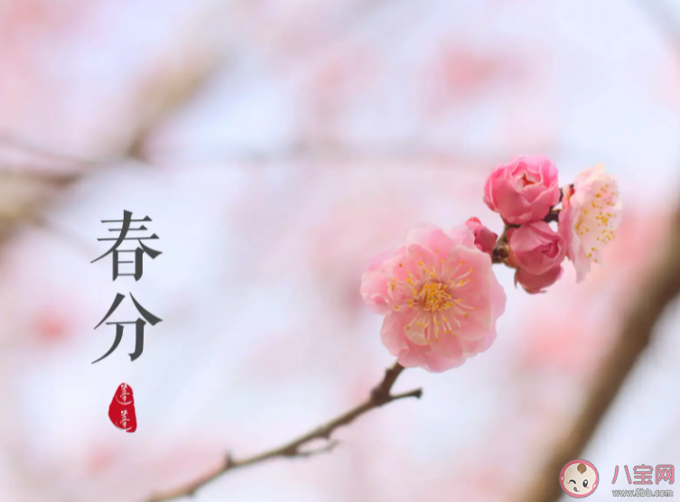 二气莫交争春分雨处行说的是哪个节气 蚂蚁庄园3月20日答案