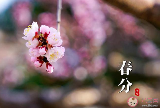 二气莫交争春分雨处行说的是哪个节气 蚂蚁庄园3月20日答案