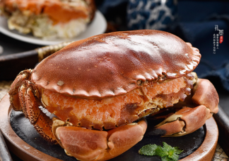 面包蟹之所以得名主要是因为什么 蚂蚁新村3月19日答案