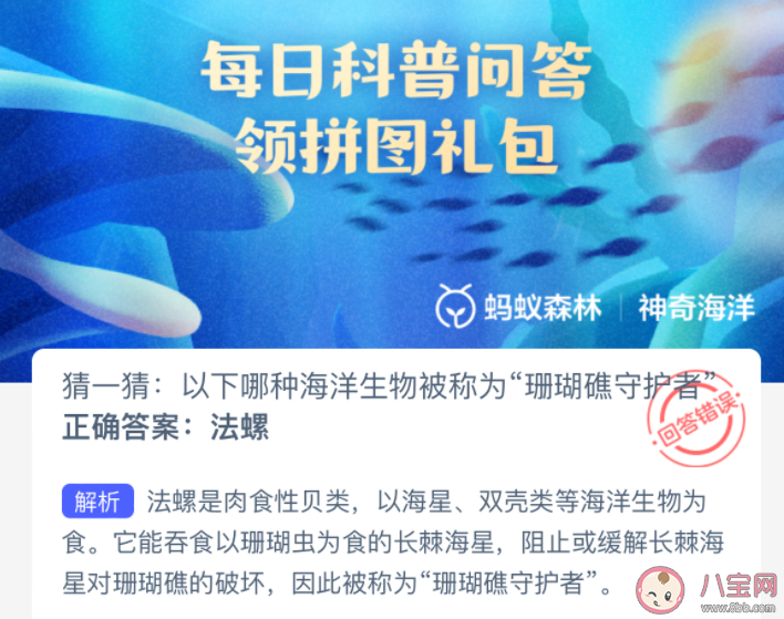 以下哪种海洋生物被称为珊瑚礁守护者 神奇海洋3月25日答案