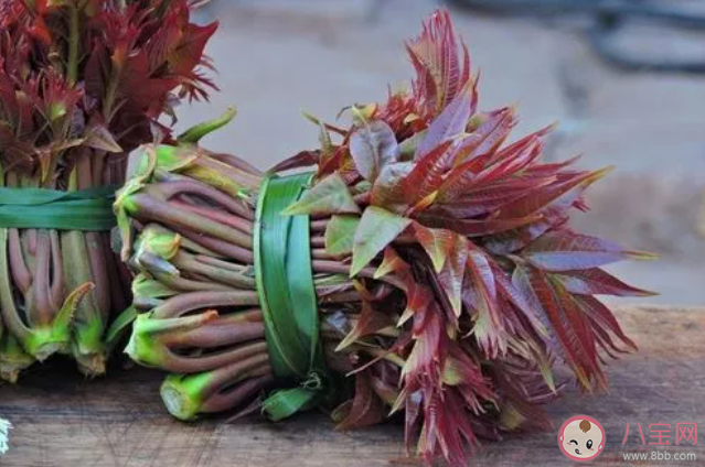 以下哪一项是春季常见的芽类蔬菜 蚂蚁庄园3月26日答案