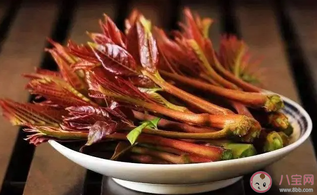 以下哪一项是春季常见的芽类蔬菜 蚂蚁庄园3月26日答案