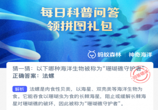 以下哪种海洋生物被称为珊瑚礁守护者 神奇海洋3月25日答案