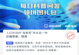人们所说的海葡萄其实是一种什么 神奇海洋3月27日答案